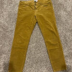 CAbi Brown Corduroy Pants